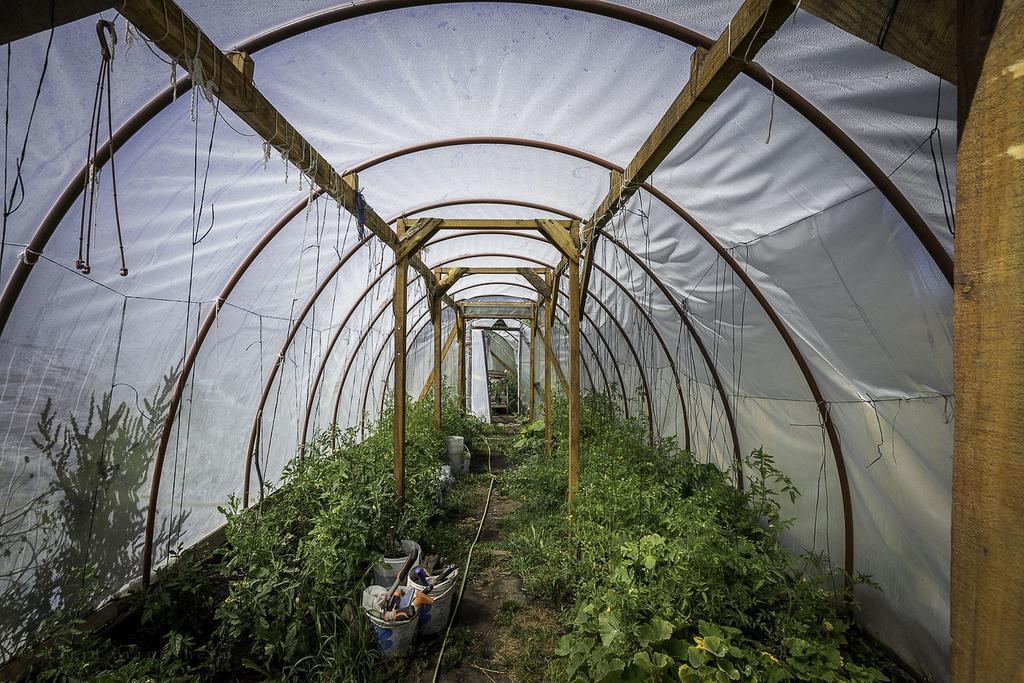 Earthship Patagonia Eco Accommodations Эль-Больсон Экстерьер фото
